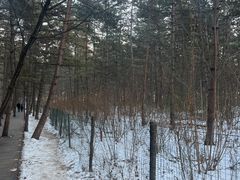 -帽儿山国家森林公园