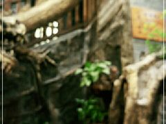-徐鼎盛民间菜(上筑店)