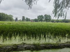-长兴太湖图影湿地文化园