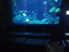 -暹罗海洋世界