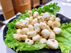 野生珍珠马蹄-东椰·海南椰子鸡火锅(朝阳门店)