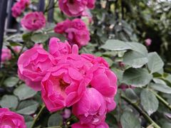 -木塔寺遗址生态公园