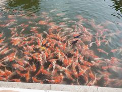 -长春市南湖公园