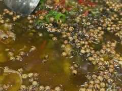 -一家人(凯旋路店)