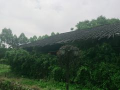 -横沥牛庄(总店)