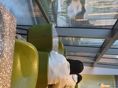 -油梨树AVOCADO TREE(望京店)