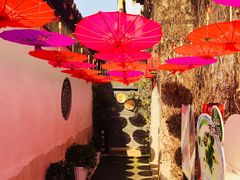 门面-鱼食饭稻·苏浙土菜17年老馆子(平江路店)