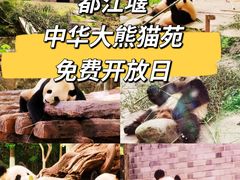 -都江堰中华大熊猫苑
