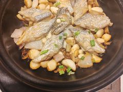 -阿毛饭店首店·宁波老字号(文化广场店)