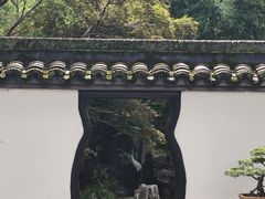 -上海醉白池公园