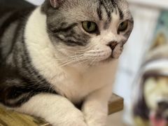 -小时光咖啡馆(开森度假森林店)