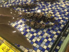 -顺德了能馆(虎门店)