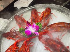 -京悦南门涮羊肉·羊蝎子火锅(田林路店)