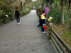 -吴淞炮台湾湿地森林公园烧烤区