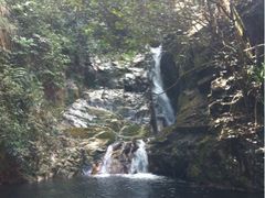 iphone_upload_pic-鼎湖山风景区