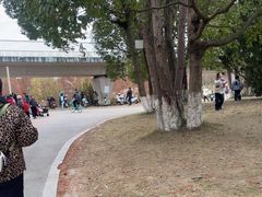 -白鹭湾湿地公园