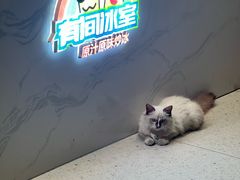 -有间冰室(侨港风情街店)