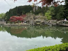 -四明山国家森林公园