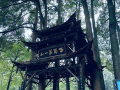 -青城山
