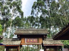 -秀丽东方