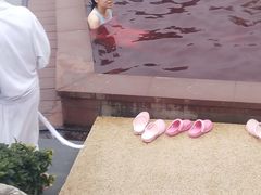 -天目湖涵田半山温泉