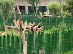 -沈阳森林动物园