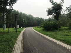 -东郊湿地公园