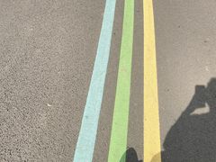 -白鹭湾湿地公园