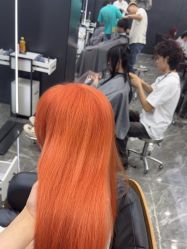 -藤野造型