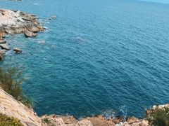 -广东惠东海龟国家级自然保护区
