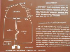-大岭沟猕猴桃谷风景区