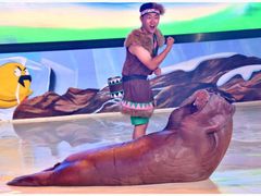 -三亚海昌梦幻海洋不夜城