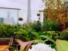 -小茶闲舍·观景商务茶馆(广州塔店)