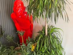 -向外鱼乐·土菜·虹鳟鱼