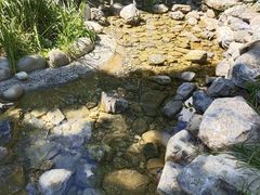 -幽岚山·童话森林