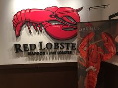 -RED LOBSTER(环球影城大阪店)