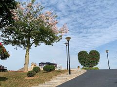 -东莞植物园