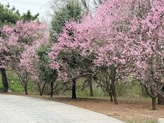 -沈阳市东陵公园