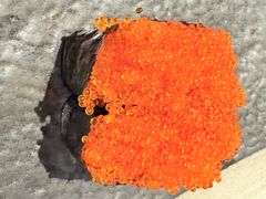 -沼津港精致料理·寿喜烧·烧鸟(漕河泾印象城店)