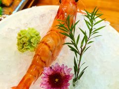 -松坂屋日料自助(长城路店)