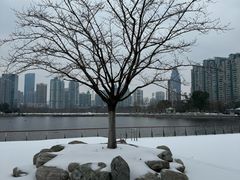 -西北湖绿化广场