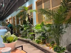 -春润大地海南椰子鸡(沙井京基百纳广场店)