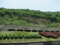 -金钉子远古世界景区