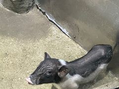 -苏州海洋馆