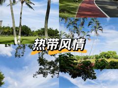 -万绿园
