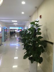 -成都军建医院·疤痕诊疗中心