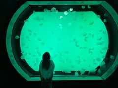 -沈阳海洋探索中心