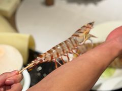 -協成海鮮火鍋(老店)