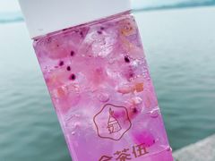 -西湖游船