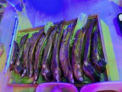 -南中轴熊猫范大食堂